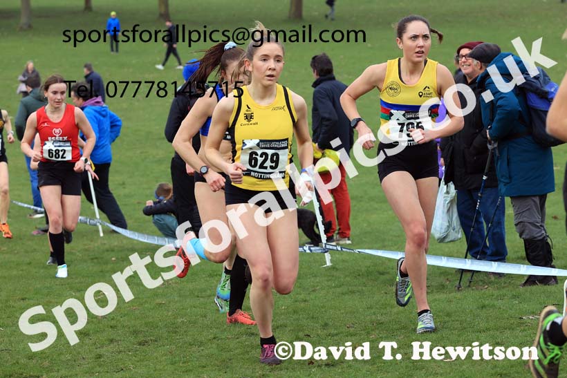 Senior Women, 2024 CAU Inter Counties Cross Country Champs., Wollaton Park, Nottingham. Photo: David T. Hewitson/Sports for All Pics